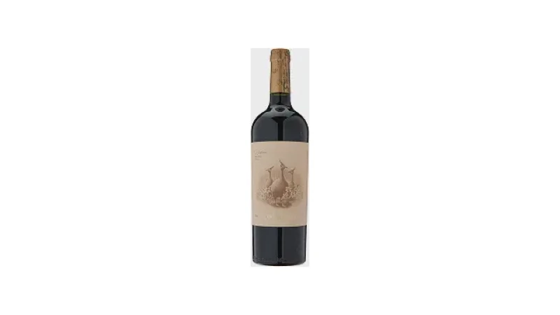 Melhor Vinho Argentino Malbec: Guia Completo 2024