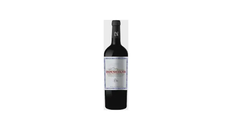 Melhor Vinho Argentino Seco: 7 Malbecs e Cabernets Premium