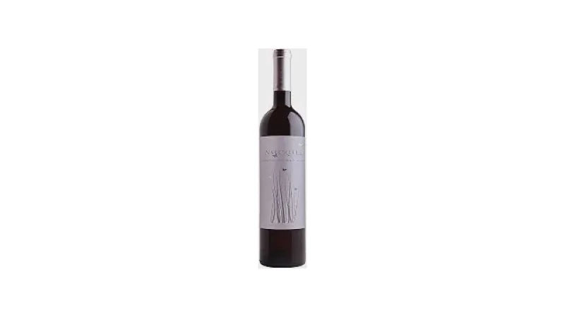 Melhor Vinho Brasileiro: Guia Completo Para Saborear