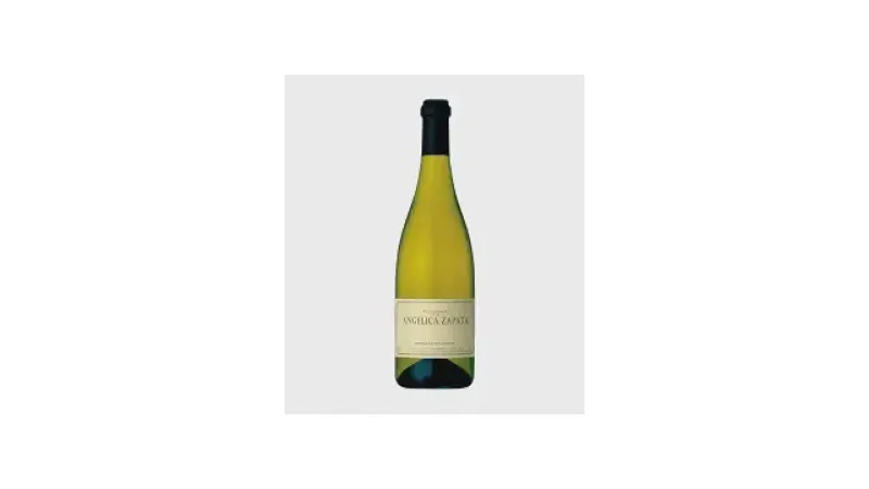 Melhor Vinho Chardonnay Argentino: Guia Completo