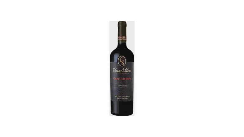 Melhor Vinho Chileno do Mundo: Explore Sabores Únicos