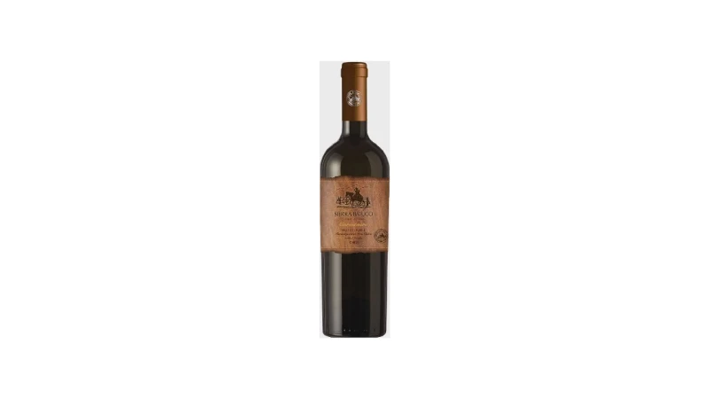 Melhor Vinho Chileno ou Argentino: Guia e Vinhos Premium