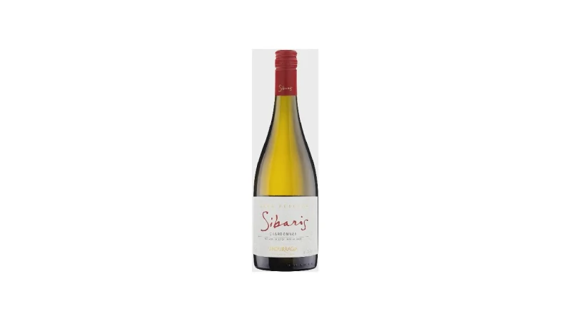 Melhor Vinho Chileno Seco: Guia Essencial para Sua Degustação