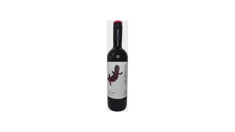 Melhor Vinho de Uva Tannat: Guia Completo 2024