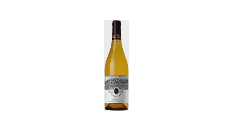 Melhor Vinho do Mundo: Vinhos Chilenos e Argentinos em Destaque