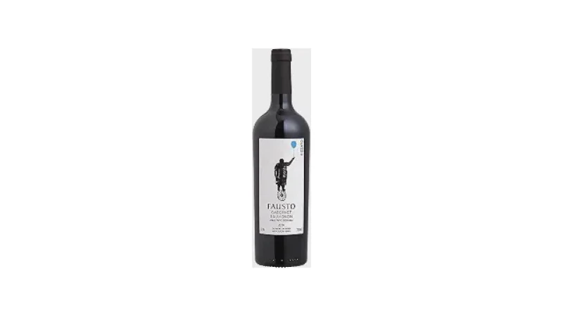 Melhor Vinho Tinto do Brasil: Descubra Sabores Únicos