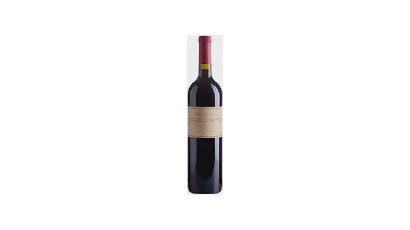 Melhor Vinho Tinto Seco Argentino: Guia de Malbecs e Cabernets
