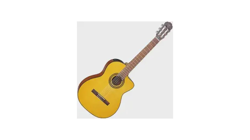 Melhor Violão Profissional Takamine: Guia Completo