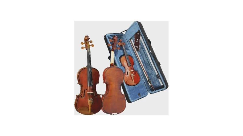 Melhor Violino: 10 Modelos para Iniciantes