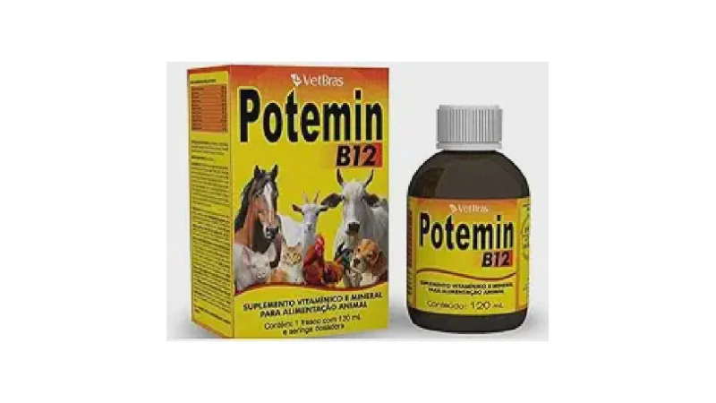 Melhor Vitamina B12 para Cachorro: Guia Essencial