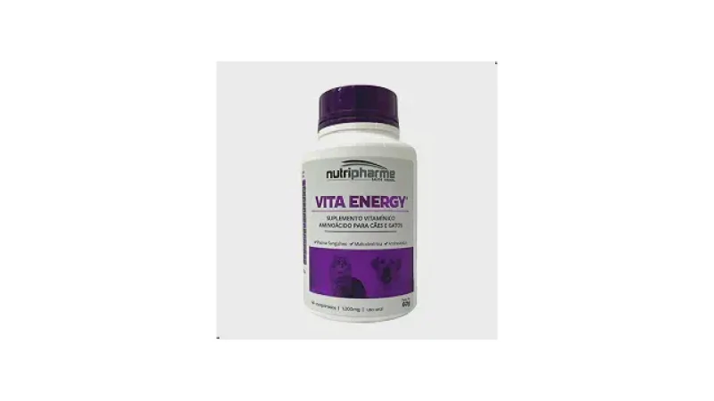 Melhor Vitamina para Cachorro Desnutrido: Guia Essencial