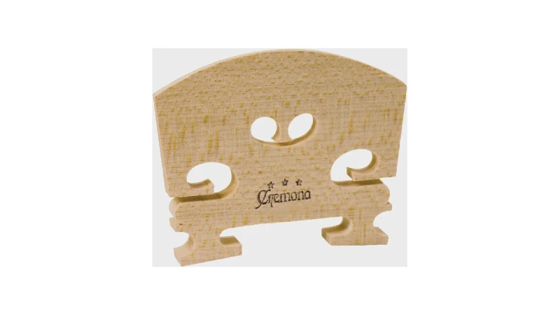 Qual a Melhor Marca de Violino para Comprar? Guia Essencial