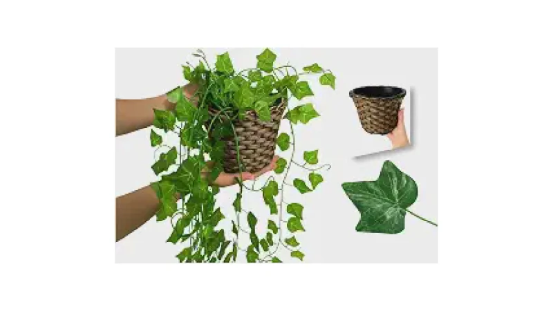Qual a Melhor Planta para Mesa de Escritório? Guia de Escolha