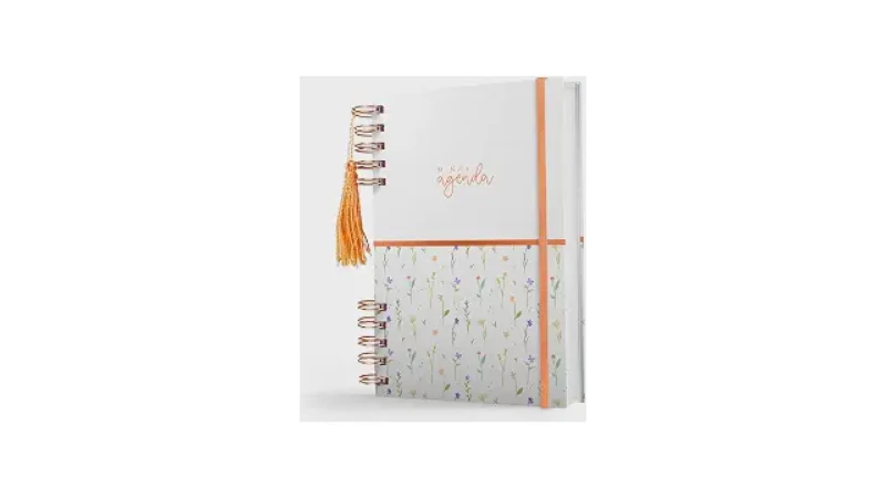 Qual Melhor Agenda Permanente Para Organizar Tudo?