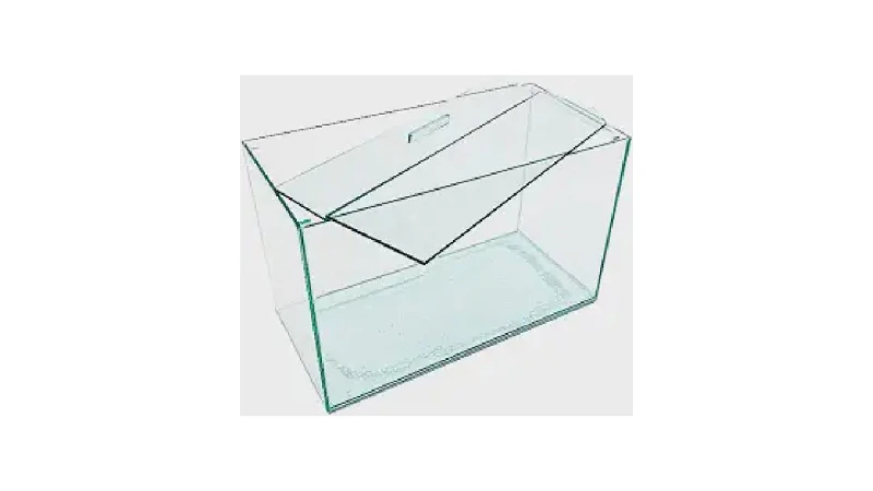 Qual Melhor Aquário Para Peixe Betta: Guia de Tamanho e Kits