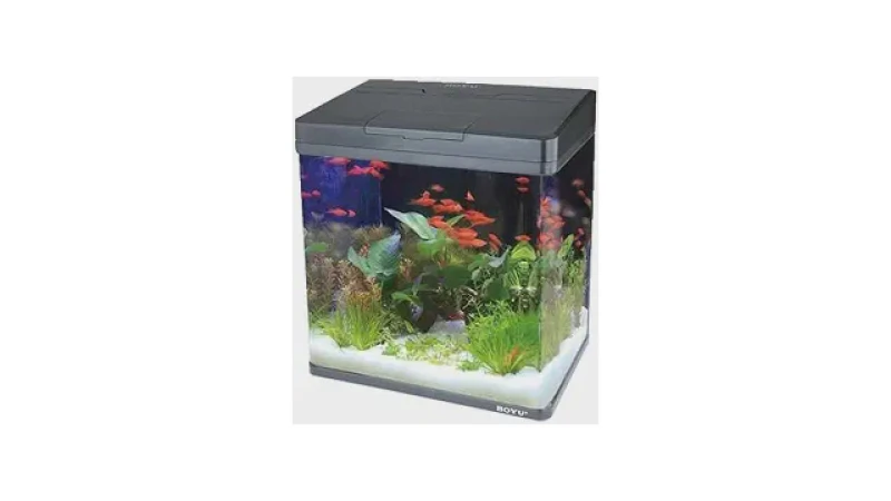 Qual melhor aquario? Tamanho, Formato e Kit Ideal