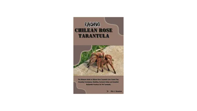 Qual Melhor Aranha Para Criar Como Pet? Comece Aqui