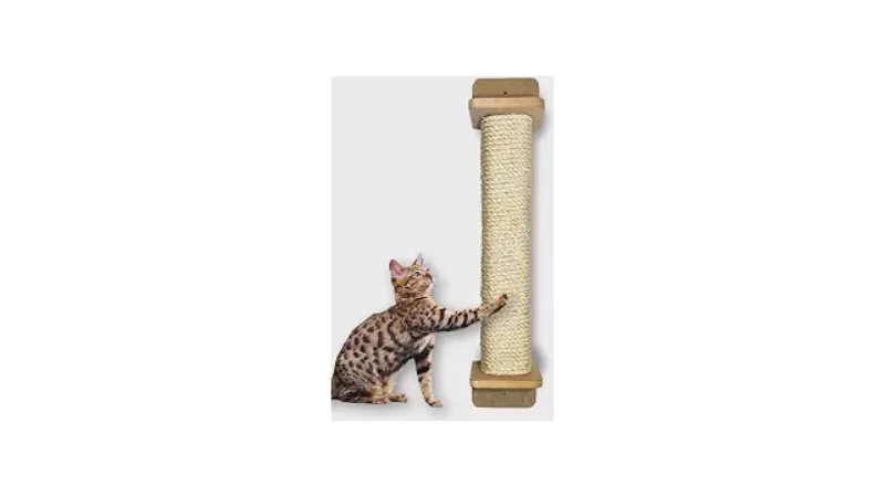 Qual Melhor Arranhador de Sisal Para Proteger os Móveis?