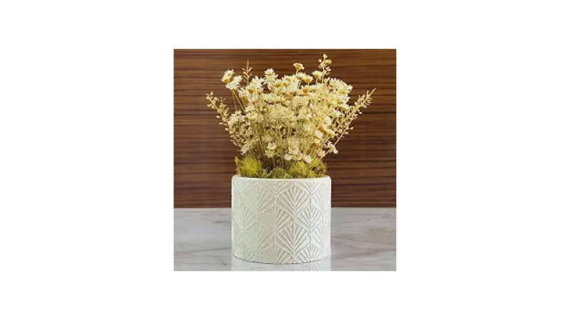 Qual Melhor Arranjo de Flores Secas: Guia de Estilos