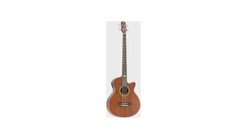 Qual Melhor Baixo Acústico Para Tocar Desplugado?