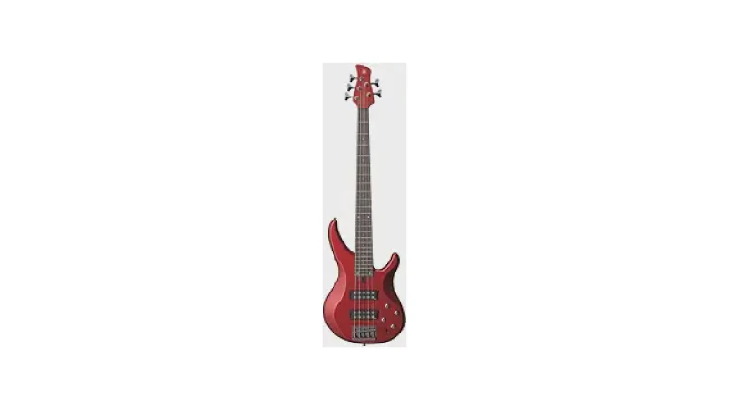 Qual melhor baixo de 5 cordas fretless ativo? Guia de Compra