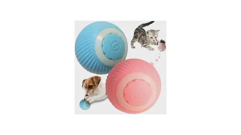 Qual Melhor Brinquedo de Inteligência Para Cachorro?