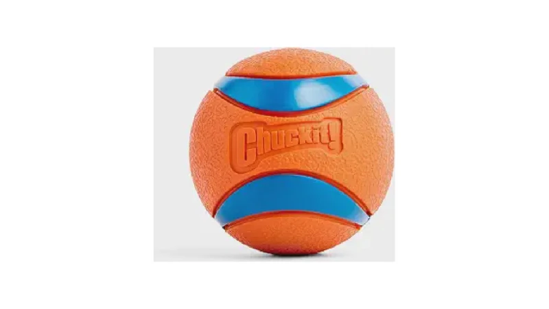 Qual Melhor Brinquedo Para Cães Que Destroem Tudo