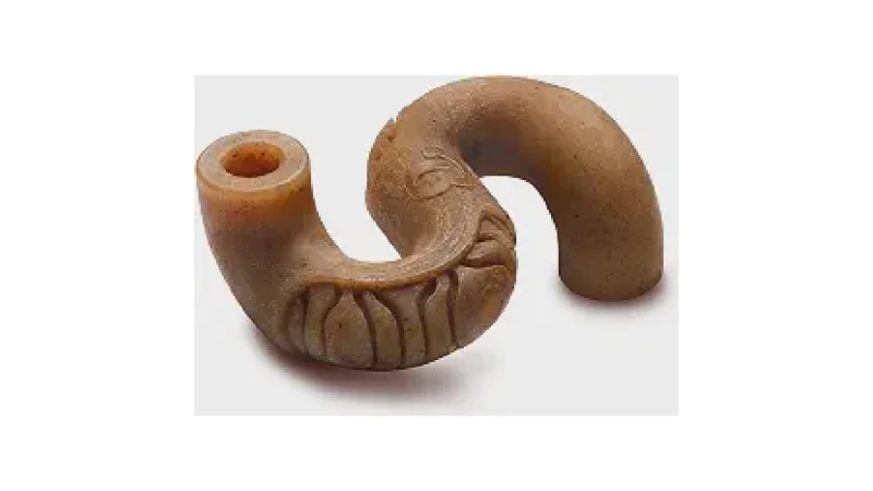 Qual Melhor Brinquedo Para Cães Que Gostam de Morder e Roer? Análise dos Mais Resistentes