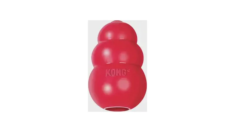 Qual Melhor Brinquedo Para Cães Que Gostam de Morder: Top 10 Resistentes