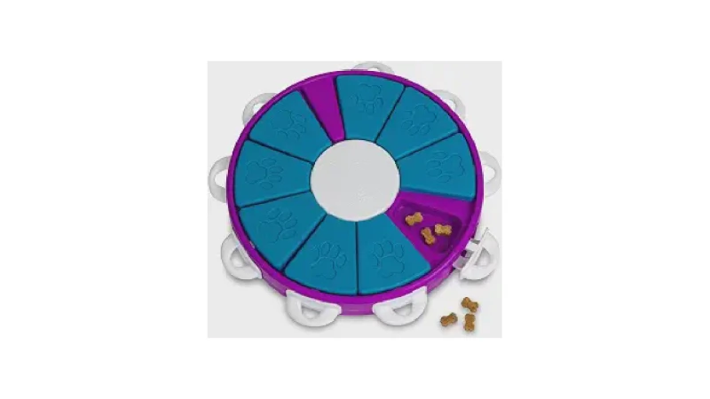 Qual Melhor Brinquedo Para Cães Que Gostam de Quebra Cabeça: Guia Por Nível