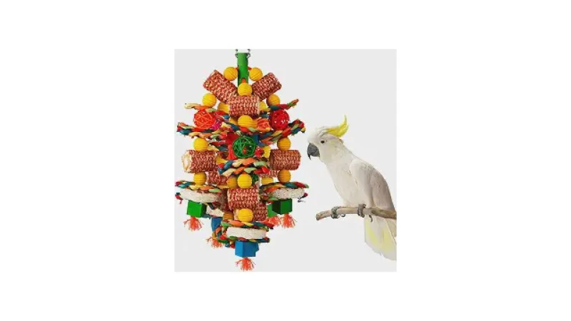 Qual Melhor Brinquedo Para Papagaio? Guia do Bem-Estar