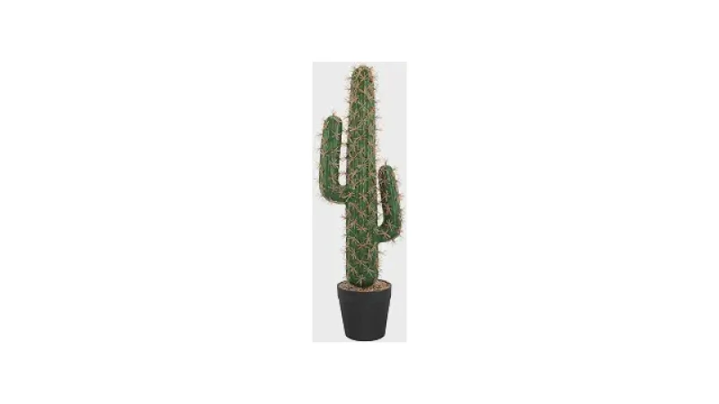 Qual Melhor Cacto Artificial: Dos Kits Aos Gigantes