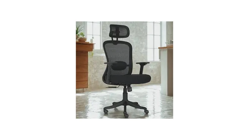 Qual Melhor Cadeira Ergonomica em Mesh Para Coluna?