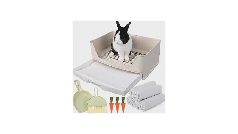Qual Melhor Caixa de Areia Para Coelho Para Facilitar a Limpeza?