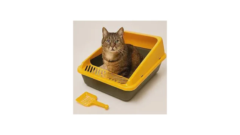 Qual Melhor Caixa de Areia Para Gatos Com Sistema de Limpeza Fácil?