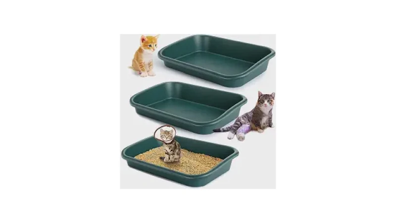 Qual Melhor Caixa de Areia Para Gatos Idosos Com Entrada Baixa? 10 Modelos de Acesso Fácil