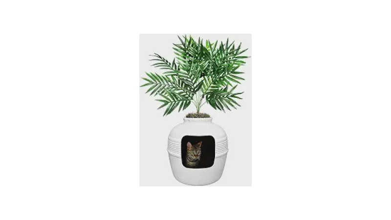 Qual Melhor Caixa de Areia Para Gatos Que Não Espalha Areia e Odor e é Fechada? Análise de 10