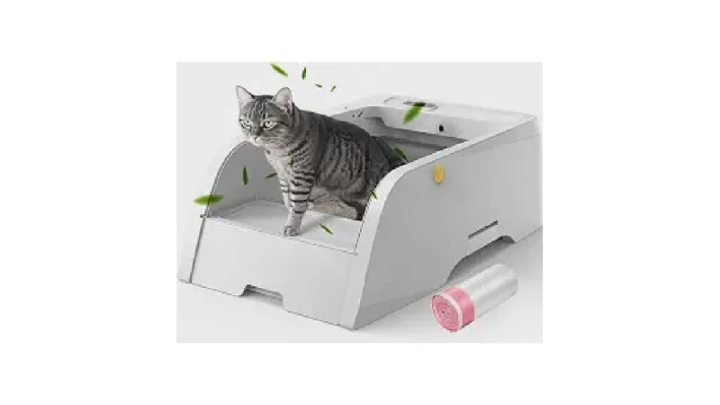Qual Melhor Caixa de Areia Para Gatos que Não Espalha Odor? Analisamos 8 Modelos