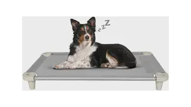 Qual Melhor Caminha de Cachorro Que Pode Ser Lavada na Máquina? Compare 8 Modelos