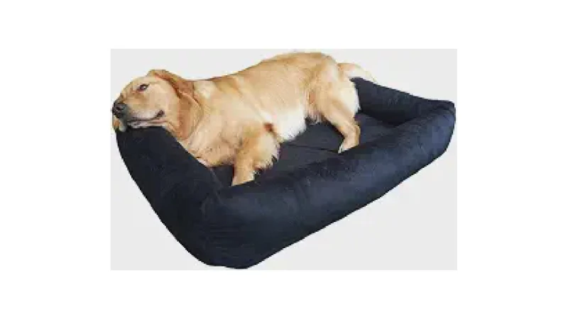Qual Melhor Caminha de Cachorro? O Guia de Tamanhos