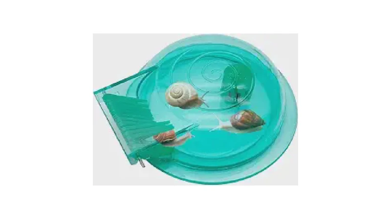 Qual Melhor Caracol Para Limpeza de Aquário e Controle de Pragas