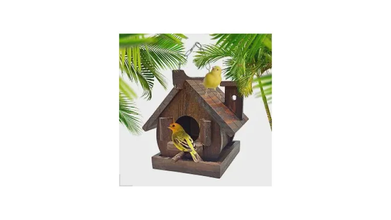 Qual Melhor Casa de Passarinho: Madeira ou Plástico?