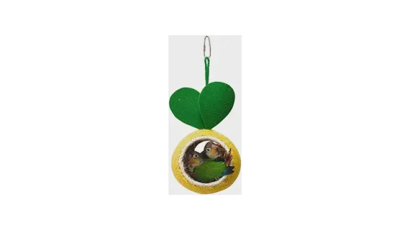 Qual Melhor Casinha de Coco Para Hamster? Guia Natural