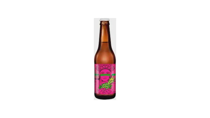 Qual Melhor Cerveja Sour: Com ou Sem Álcool?