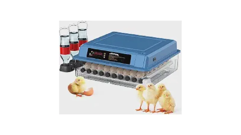 Qual Melhor Chocadeira Automática: De 12 a 240 Ovos