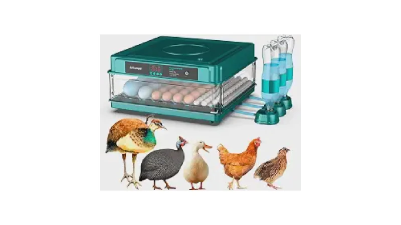 Qual Melhor Chocadeira Para Alta Taxa de Eclosão?