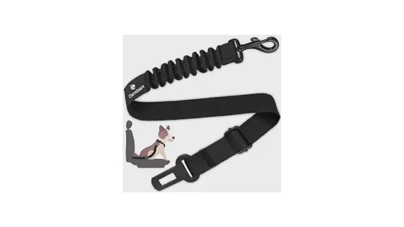 Qual Melhor Cinto de Seguranca Para Cachorro? Guia!