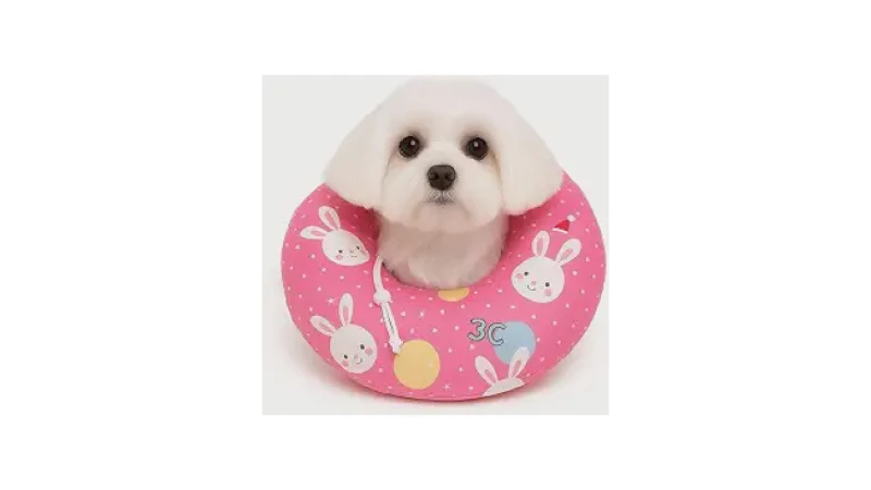 Qual Melhor Colar Elizabetano (Cone) Confortável?