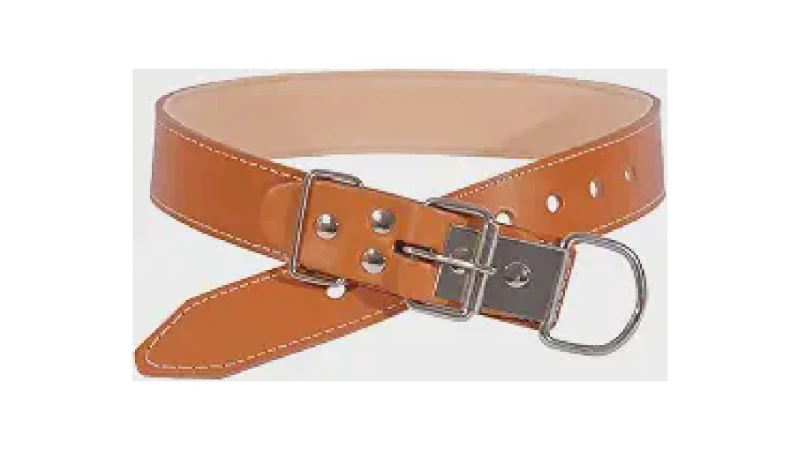 Qual Melhor Coleira de Couro Para Cachorro de Porte Grande: 4 Opções Resistentes