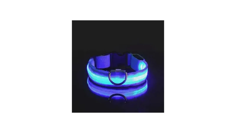 Qual Melhor Coleira Luminosa Para Passeios Noturnos? Guia Com 8 Opções